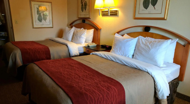 Четырёхместный номер Standard Days Inn by Wyndham Prescott