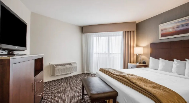 Номер Business Quality Inn & Suites Hermosa Beach