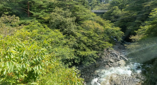 Номер Standard Nikko Garden Hotel