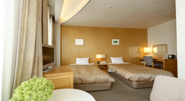 Двухместный номер Standard Hotel Grand Vert Gizan
