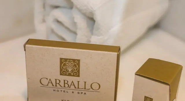 Номер Superior Carballo Hotel & Spa