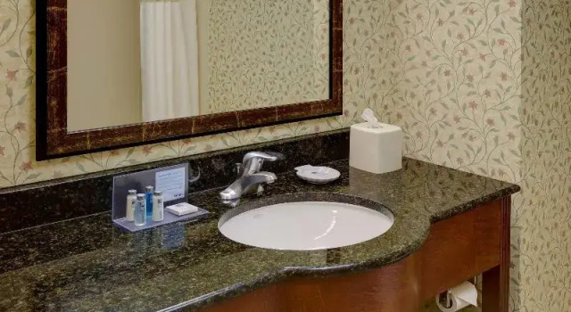 Двухместный люкс Hampton Inn & Suites Columbus Polaris