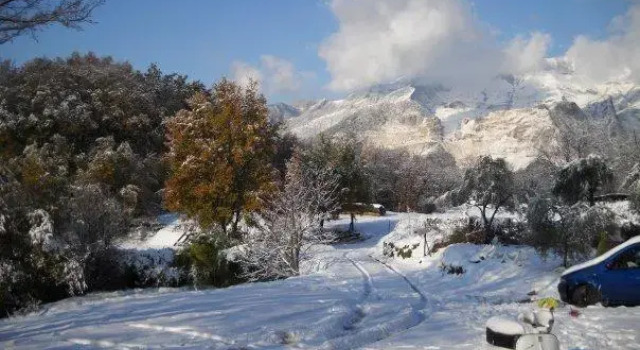 Il Nido Del Cuculo