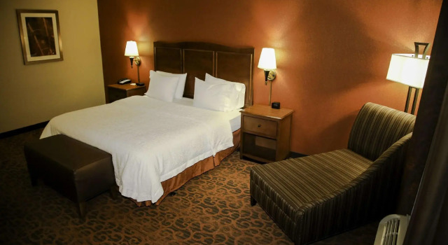Двухместный номер Standard Hampton Inn Matamoras