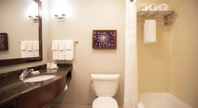 Двухместный номер Standard Hilton Garden Inn Covington