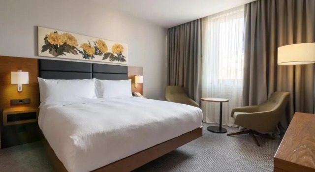 Двухместный люкс c 1 комнатой Отель Hilton Garden Inn Tbilisi Chavchavadze