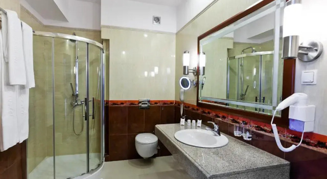Двухместный номер Economy Hotel Gołębiewski Karpacz