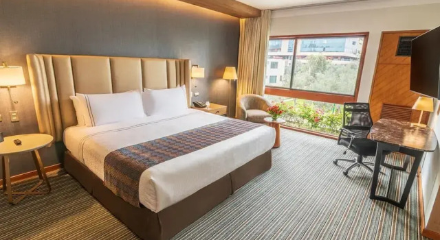 Номер Superior Sonesta Hotel El Olivar