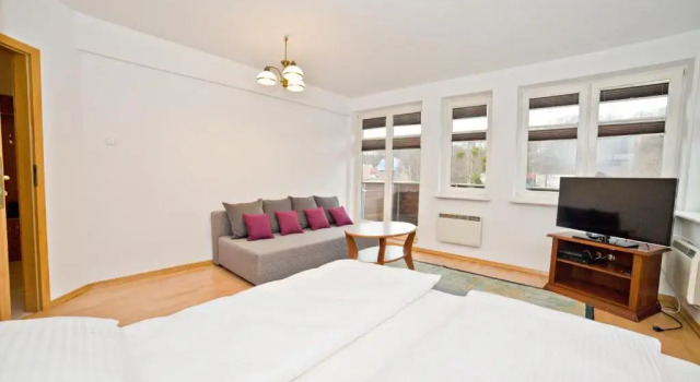 Апартаменты Standard Grand Apartments