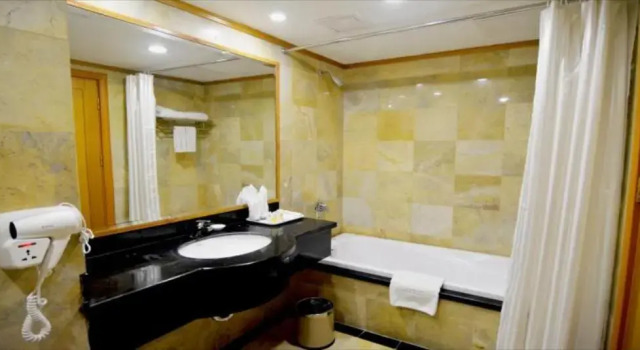 Двухместный номер Superior A25 Premium Hotel