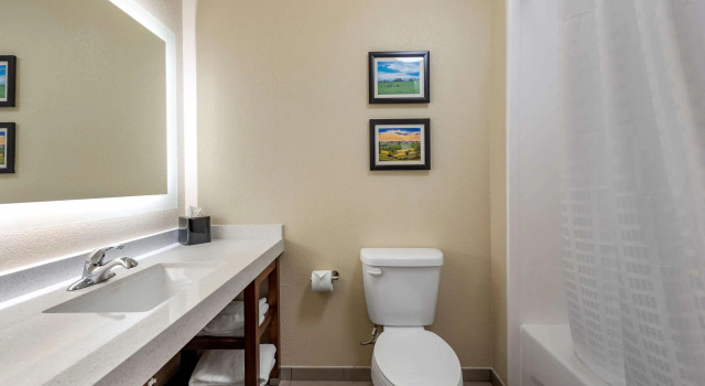 Двухместный люкс Comfort Suites Dry Ridge