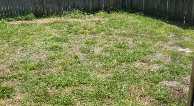 Entire House, Prenota Hotel North Port Florida