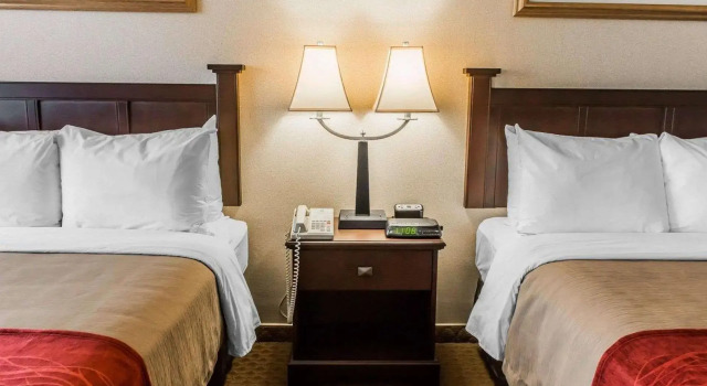 Четырёхместный номер Standard Comfort Inn Somerset