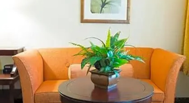 Полулюкс Vista Inn & Suites Tampa