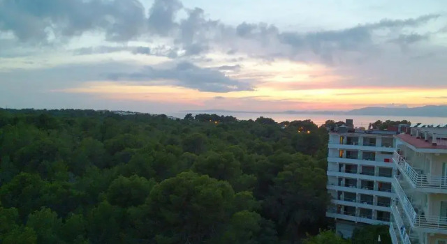Двухместный номер с видом на лес Hotel Manaus