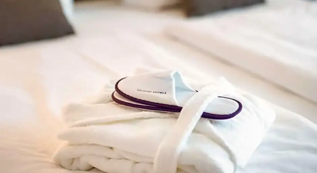Номер Privilege Mercure Mainz City Center