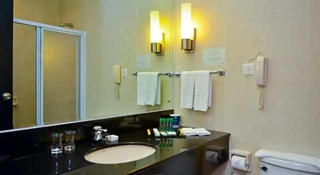 Номер Executive Dynasty Hotel
