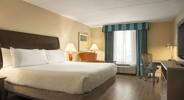 Одноместный люкс Hilton Garden Inn Toronto/Vaughan