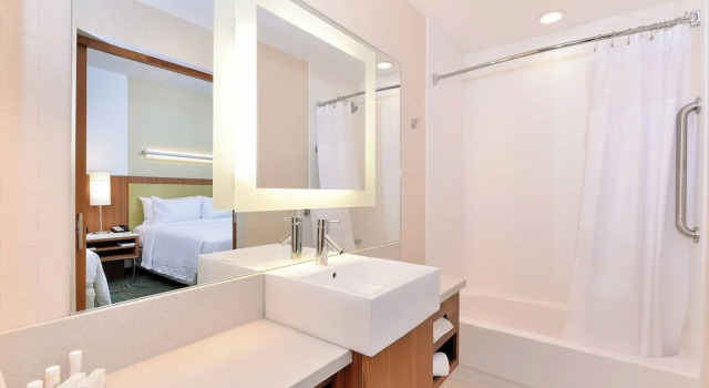 Люкс SpringHill Suites by Marriott Raleigh Cary