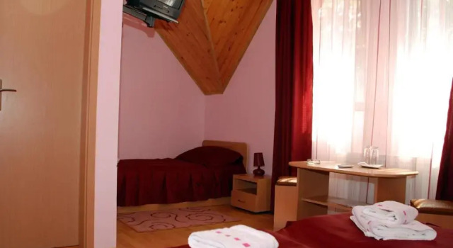Двухместный номер Standard Pensiunea Stejarul