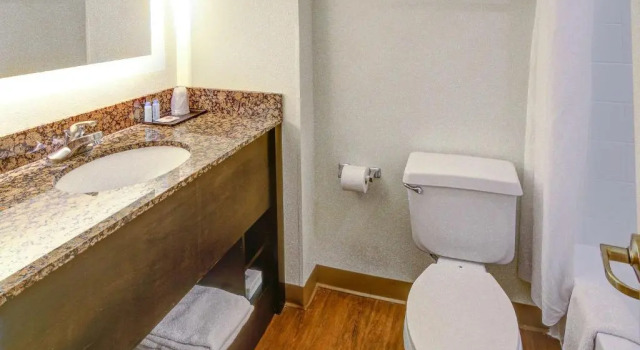 Студия LeConte Hotel & Convention Center, an Ascend Collection Hotel