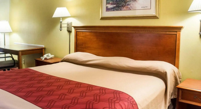 Standard Zimmer Studios 4 Less Chesapeake
