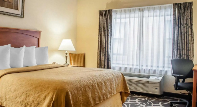 Номер Standard Quality Hotel & Suites At The Falls