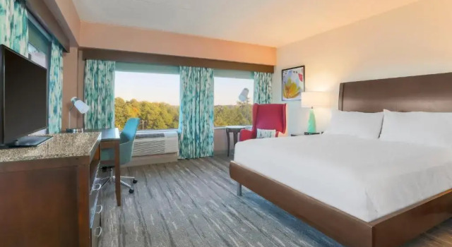 Двухместный номер Deluxe Hilton Garden Inn Raleigh-Durham/Research Triangle Park