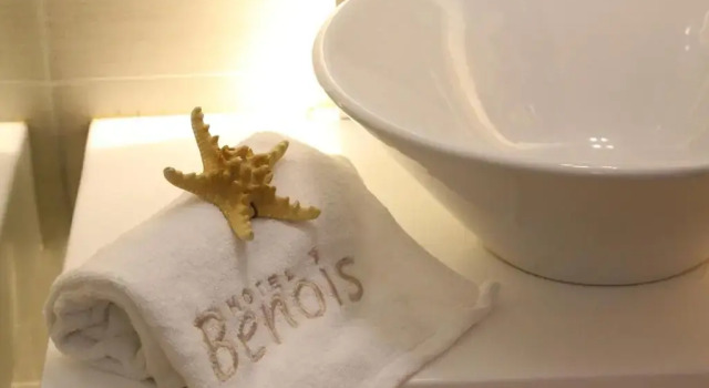 Двухместный номер Standard Hotel Benois