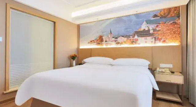 Двухместный люкс Deluxe с видом на улицу Vienna Hotel(Shenzhen Shajing Jingji Baina)