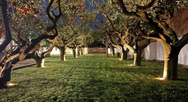 Don Salvatore Resort, Book Hotel Monte di Procida Campania