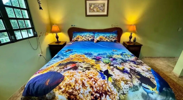 Двухместный номер Comfort с видом на горы Vieques BioBay Bed and Breakfast