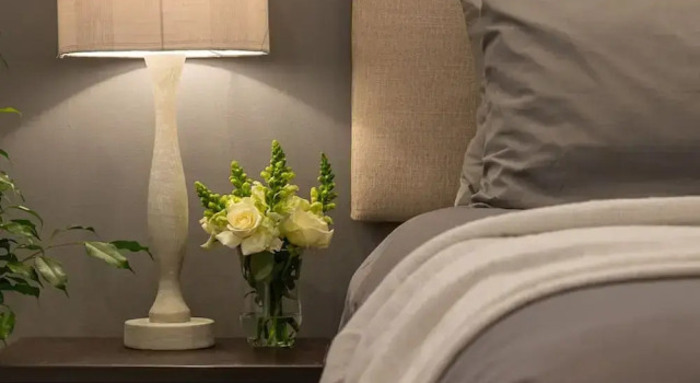 Cozy Corner Apartment