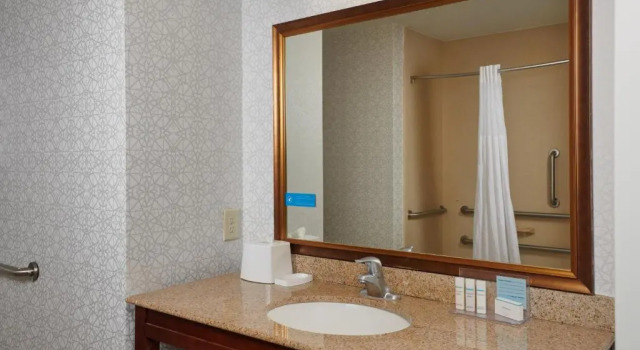 Номер Standard Hampton Inn & Suites Holly Springs