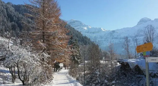 Chalet Flöschhorn