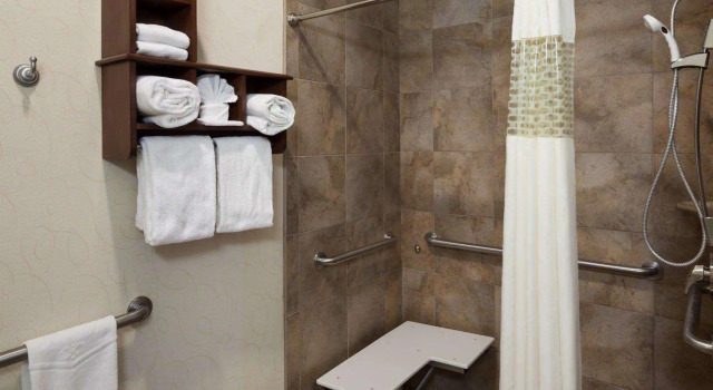Двухместный люкс Hampton Inn & Suites Dallas-Arlington-South