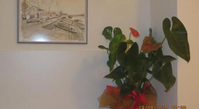 Номер Standard Villa Marija M L