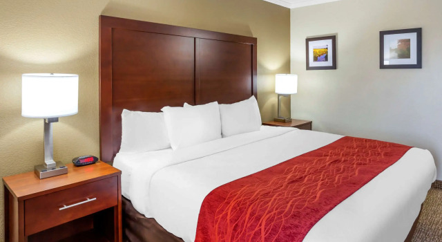 Двухместный номер Standard Comfort Inn Hoffman Estates - Schaumburg