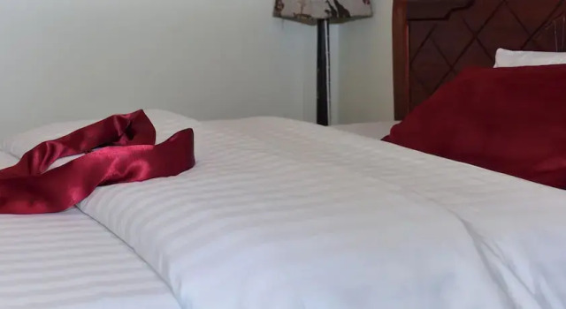 Camera Standard New Zebra Hotel