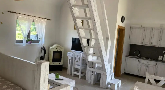 Студия Deluxe Pansion Danica