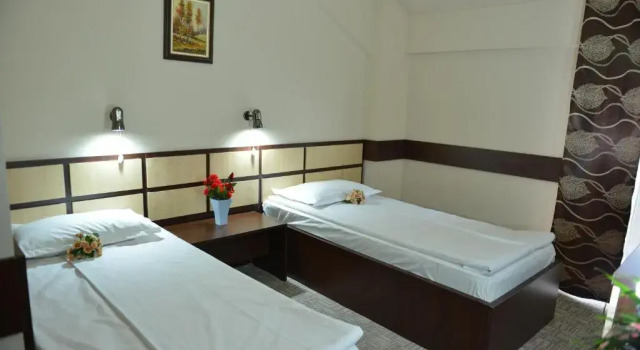 Двухместный номер Classic с красивым видом из окна Hotel Valahia