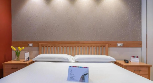Двухместный номер Standard Hotel Palace