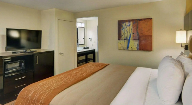 Двухместный номер Standard Spark By Hilton Grapevine DFW North