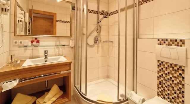 Одноместный номер Classic Wellness- & Sporthotel Jagdhof