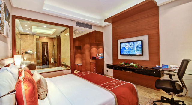 Номер Business Radisson Blu Kaushambi Delhi NCR