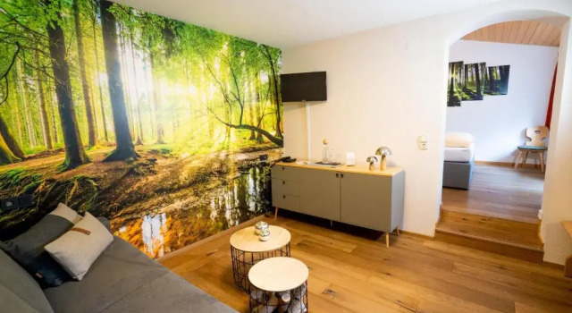 Номер Deluxe Hotel Tannenmühle