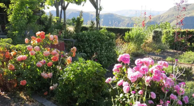 Cortijo Opazo, Забронировать Отель Португос La Alpujarra