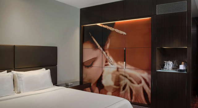 Двухместный номер Superior Park Plaza London Westminster Bridge