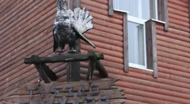 Gnezdo Gluharya Hotel, Rezervasyon Otel Harkov 