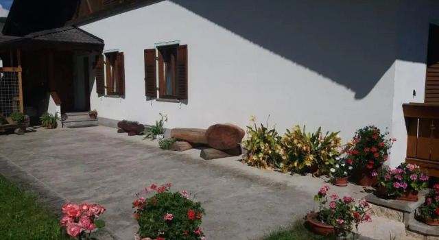 Appartamento Cologna